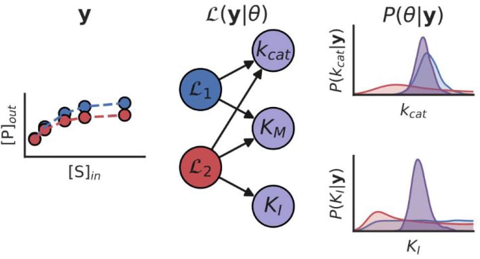 A bayesian approach to extracting kinetic information from artificial enzymatic networks
