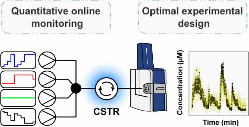 In vitro transcription translation in an artificial biomolecular condensate