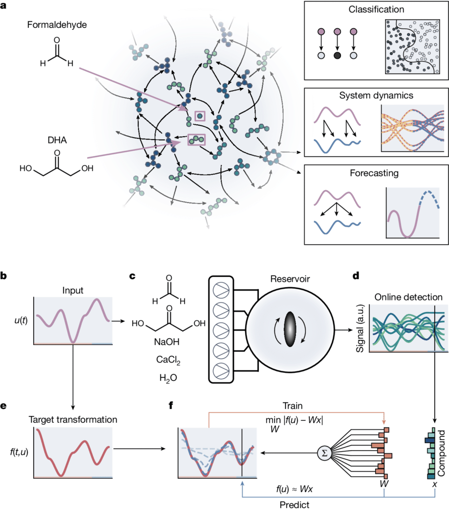Chemical reservoir computation in a self-organizing reaction network